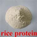SELL Rice Protein Concentrate (best quality)  